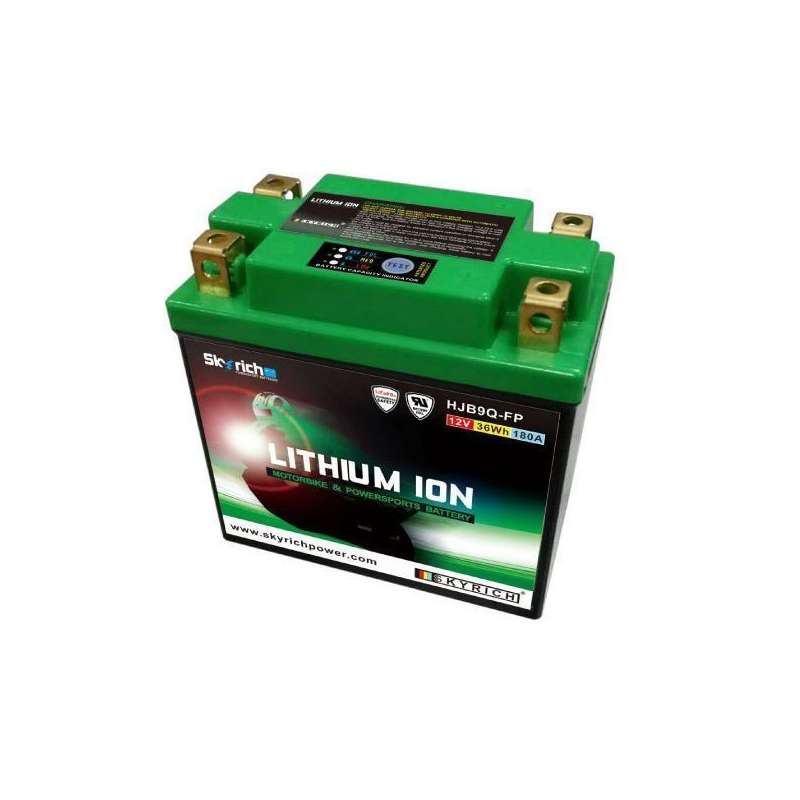 SKYRICH Batterie Lithium HJB9Q-FP