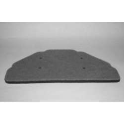 Champion Filtre à air