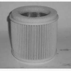 Champion Filtre à air