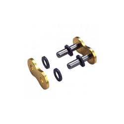 REGINA ATTACHE RIVET 520 EBXL TRIAL